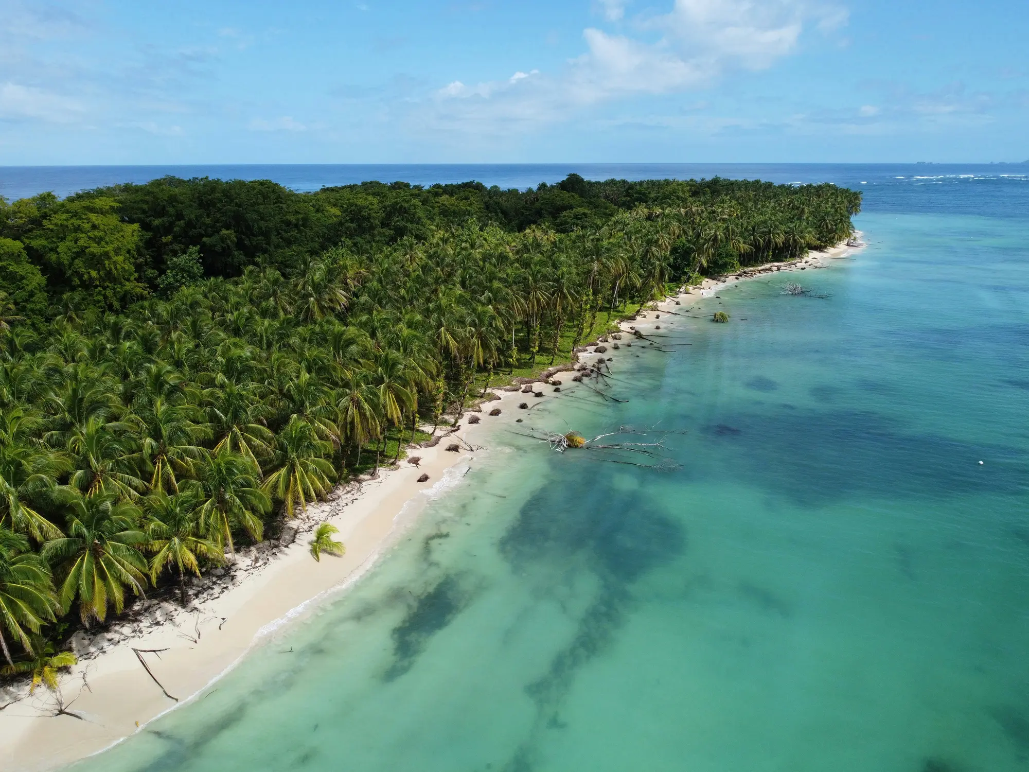 A wooded islet from above: jungle canopy by a narrow beach