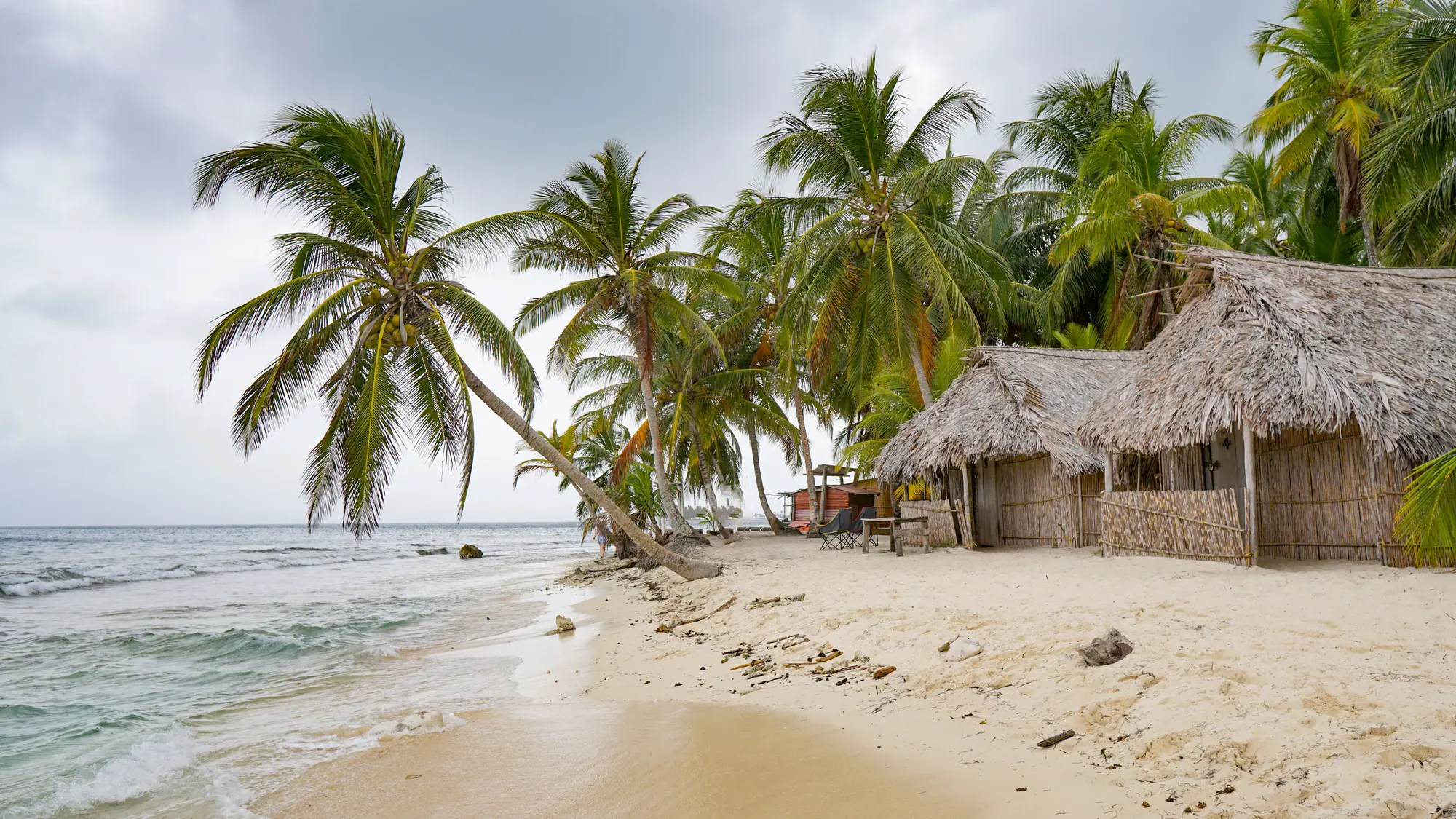 Huts under thatched roofs at the edge of the sand, palms, surf