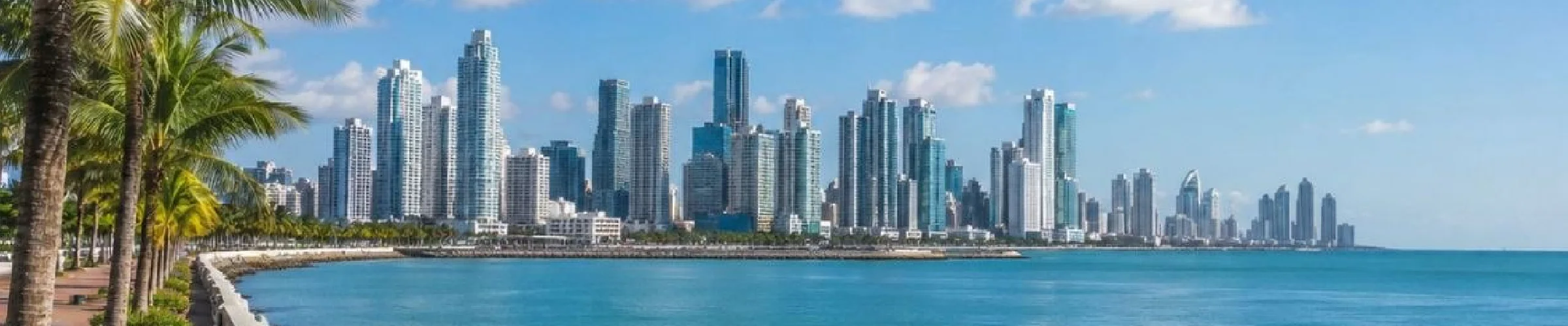 The Panama City skyline across the bay, with the palm-lined Cinta Costera promenade in the foreground