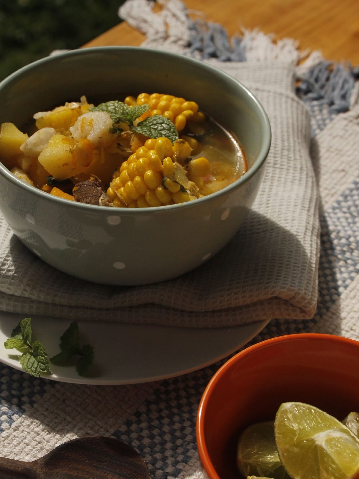 Sancocho, traditional Panamanian chicken soup