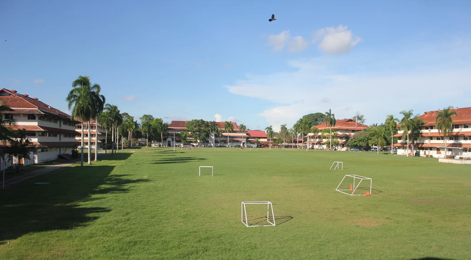The central lawn of the City of Knowledge: low buildings with tiled roofs among palm trees
