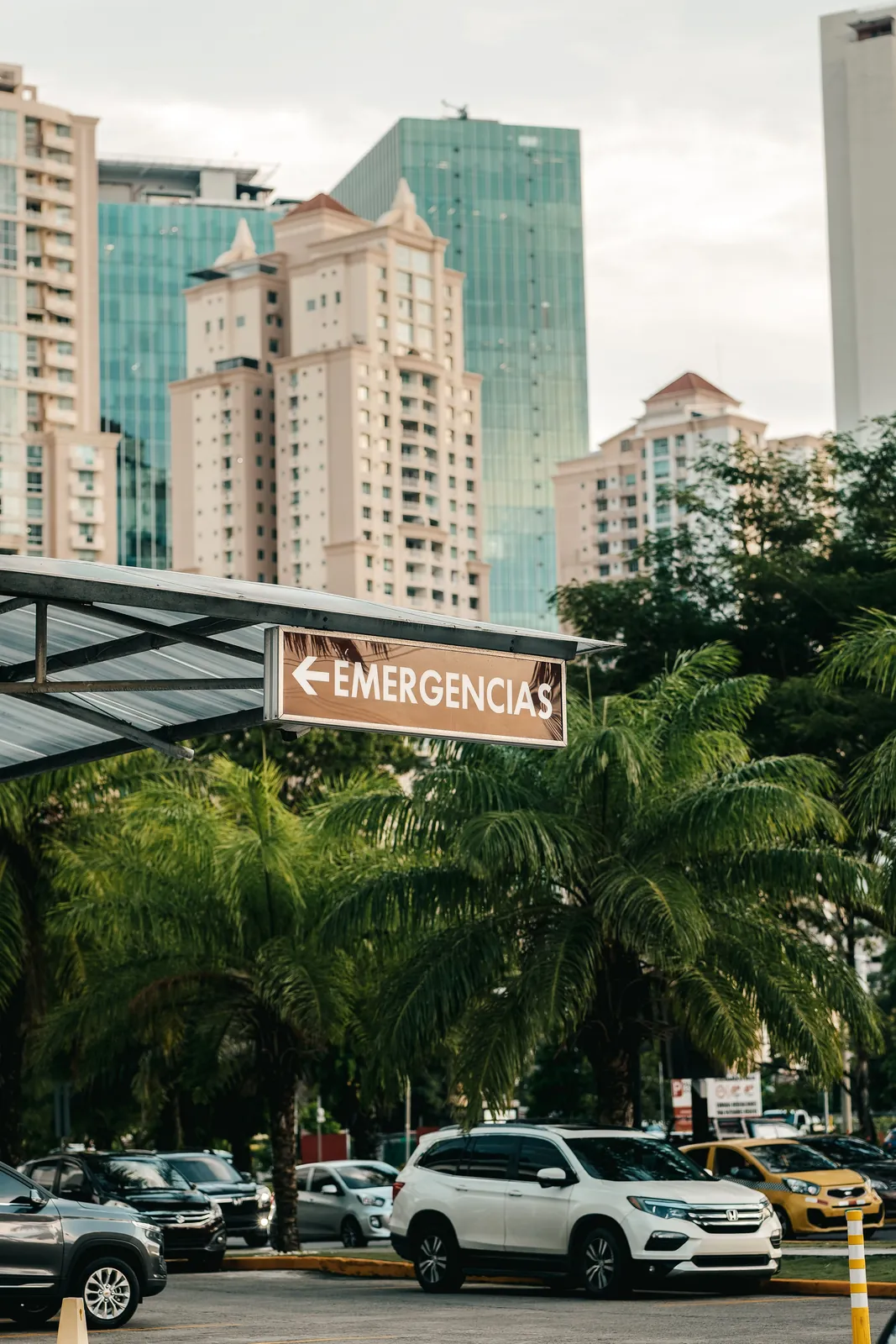 A Panama City street with palm trees and a medical center among high-rise buildings